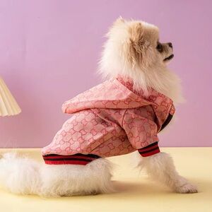 Cute luxury dog pullover